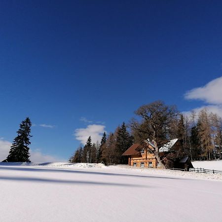 Ferienhaus Bichlhuette بروغيرن المظهر الخارجي الصورة