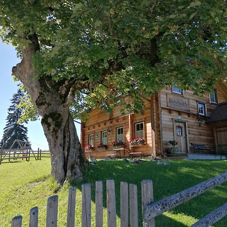 Ferienhaus Bichlhuette بروغيرن المظهر الخارجي الصورة