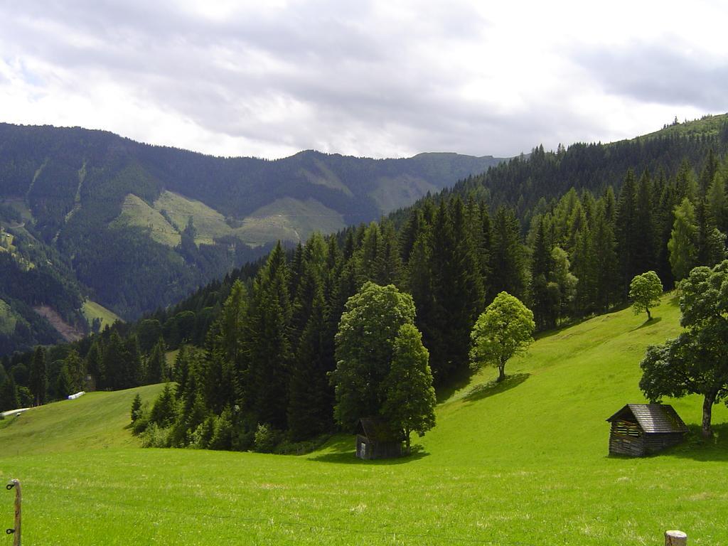 Ferienhaus Bichlhuette بروغيرن الغرفة الصورة