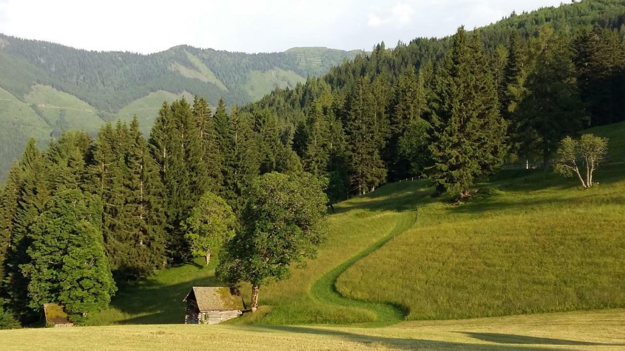 Ferienhaus Bichlhuette بروغيرن المظهر الخارجي الصورة